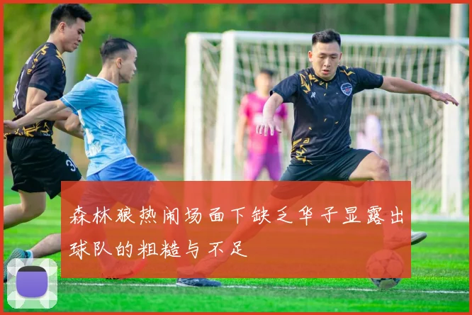 森林狼热闹场面下缺乏华子显露出球队的粗糙与不足
